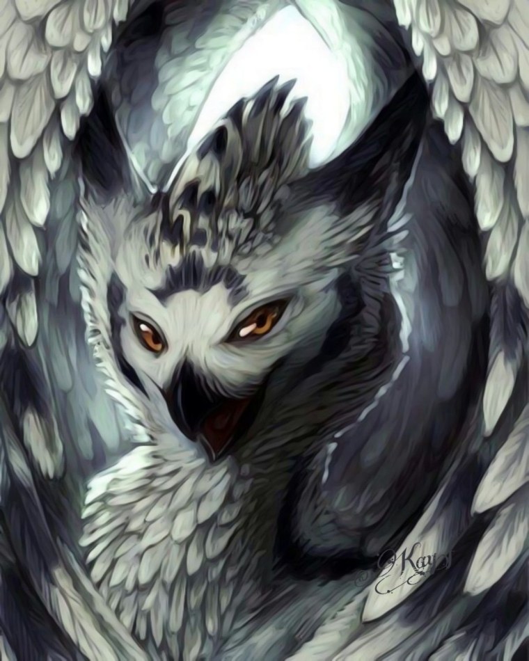 Заставка на рабочий стол Сова