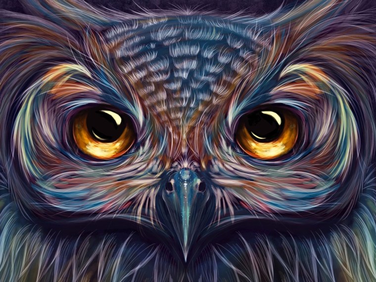 Совёнок Стив арт