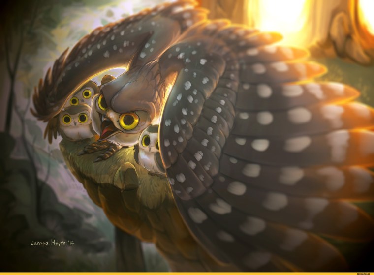 Совиный Грифон мифическое существо