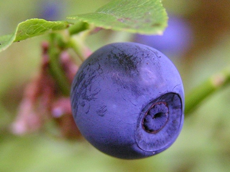 Голубика на деревянном столе