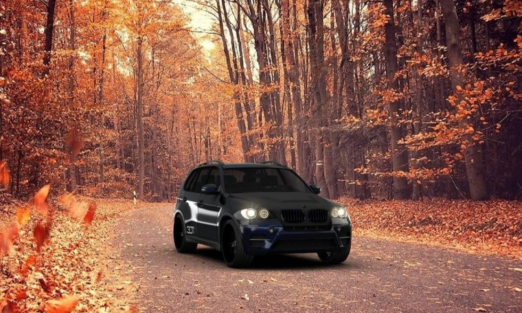 BMW x5 e53 черный осень