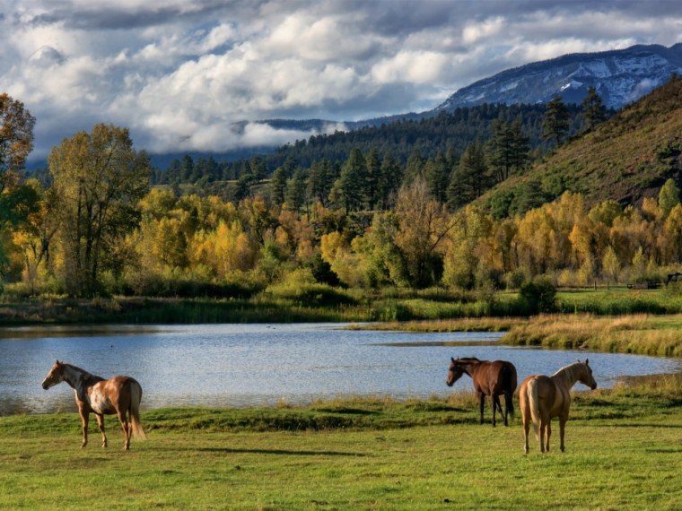 Природа Башкортостана и кони
