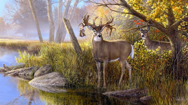 Художник Розмари Миллетт олени