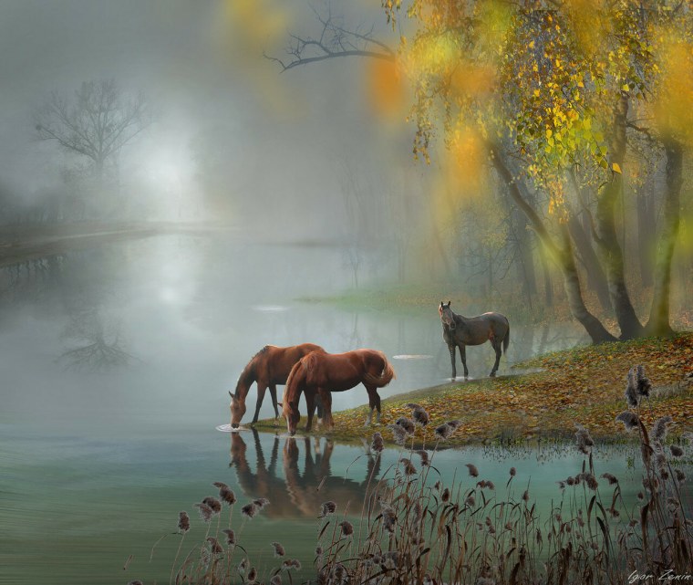 Карл Брендерс картины косуля