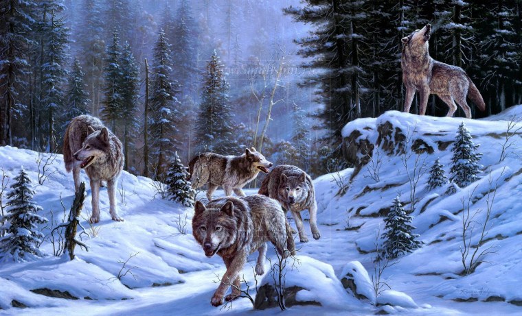 Художница Криста Форест