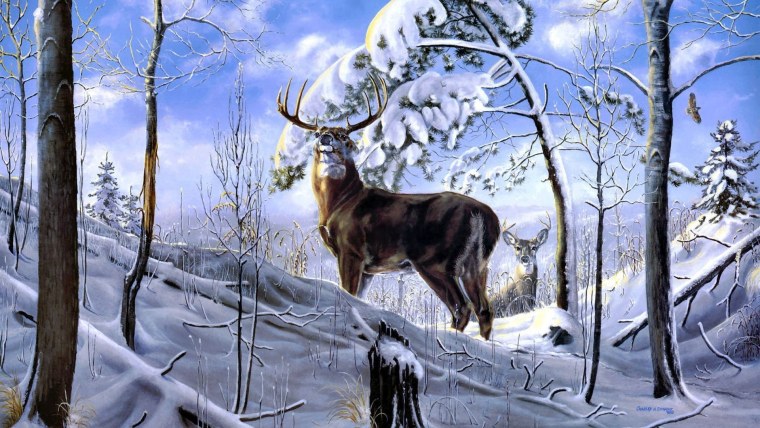 Зимний пейзаж с животными