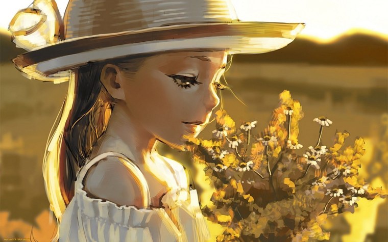 Поляна ромашек