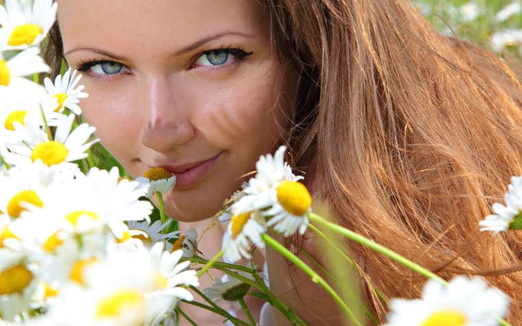 Ромашки романтика