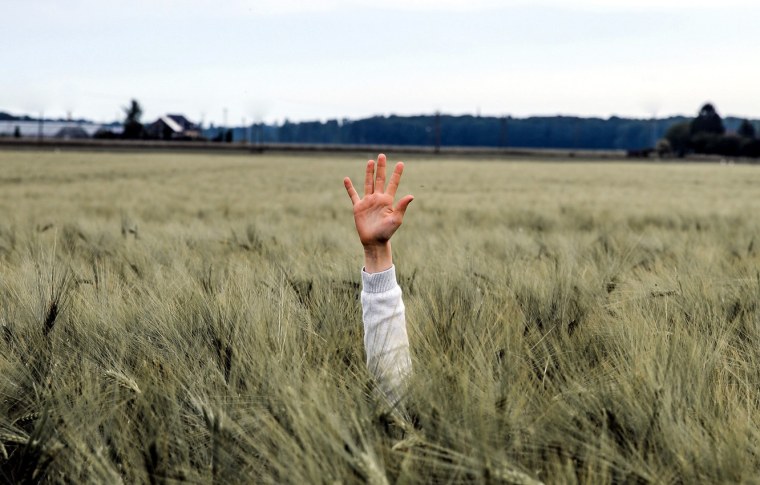 Парень с картонкой в руках в поле