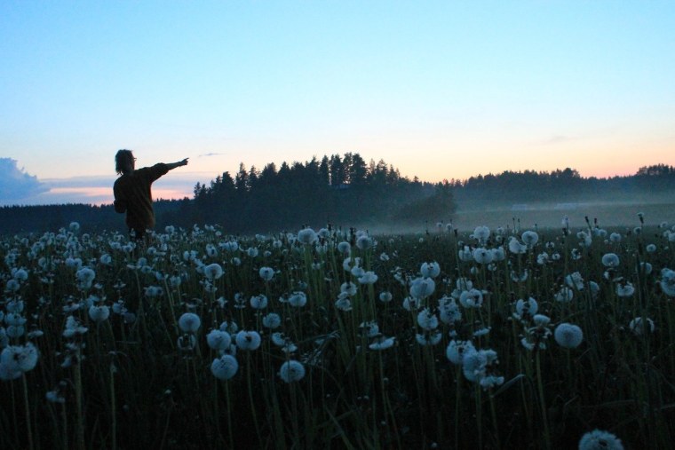 Летний вечер Эстетика