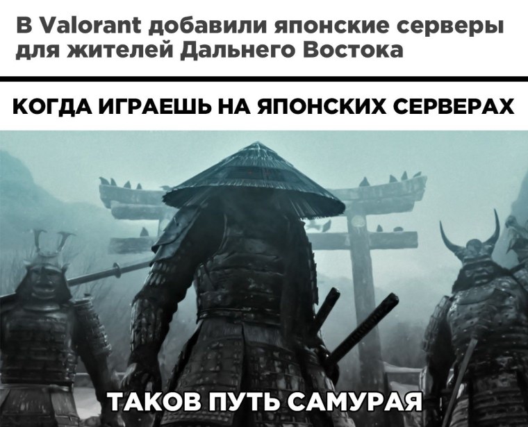 У самурая нет цели только путь Мем