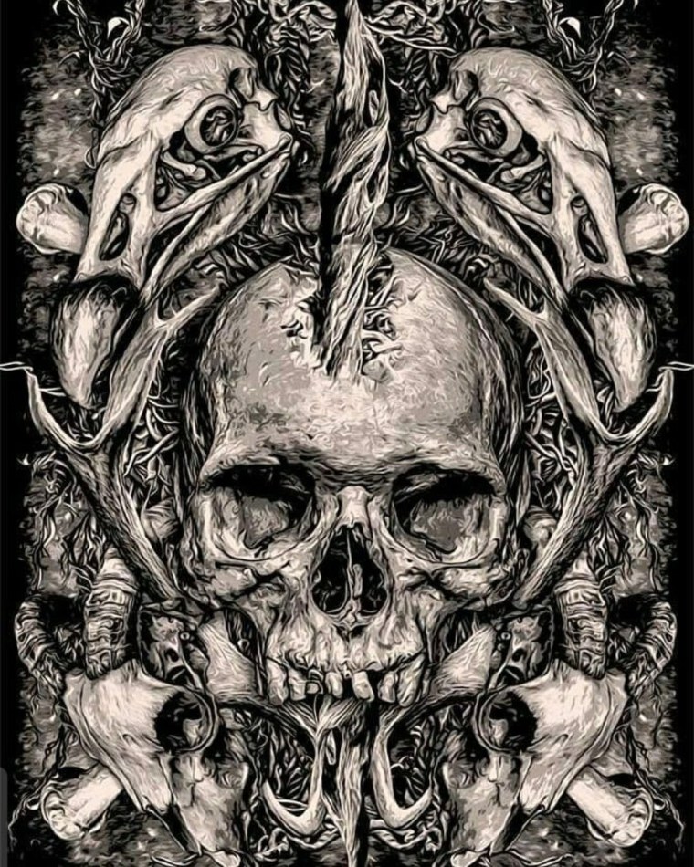 Череп в графике