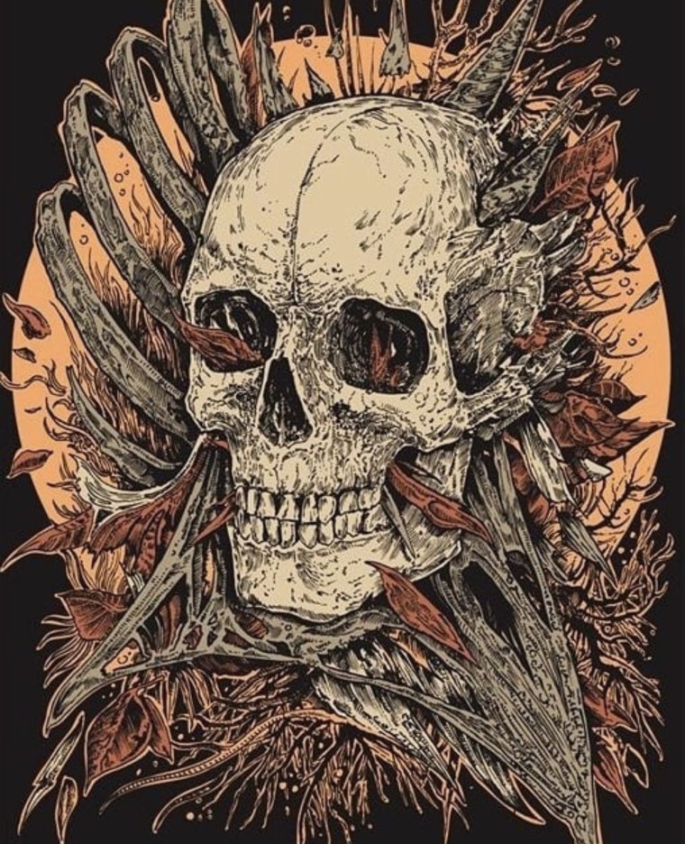 Череп в космосе