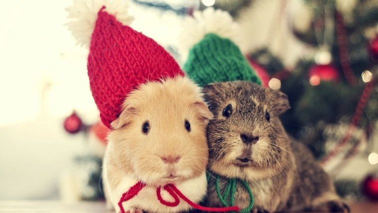 Новогодние животные