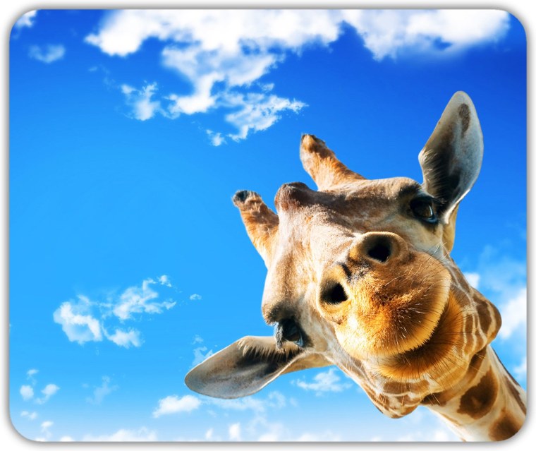 Жизнерадостные картинки на рабочий стол