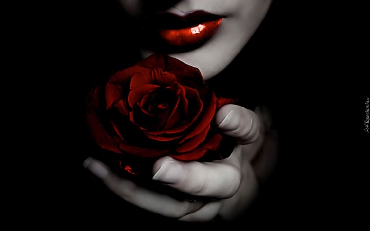 Красная роза арт