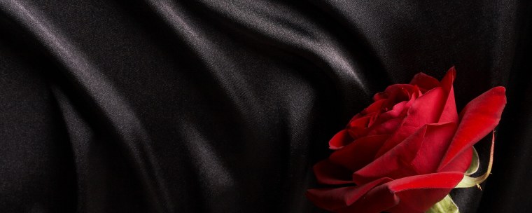 Красные розы на темном фоне