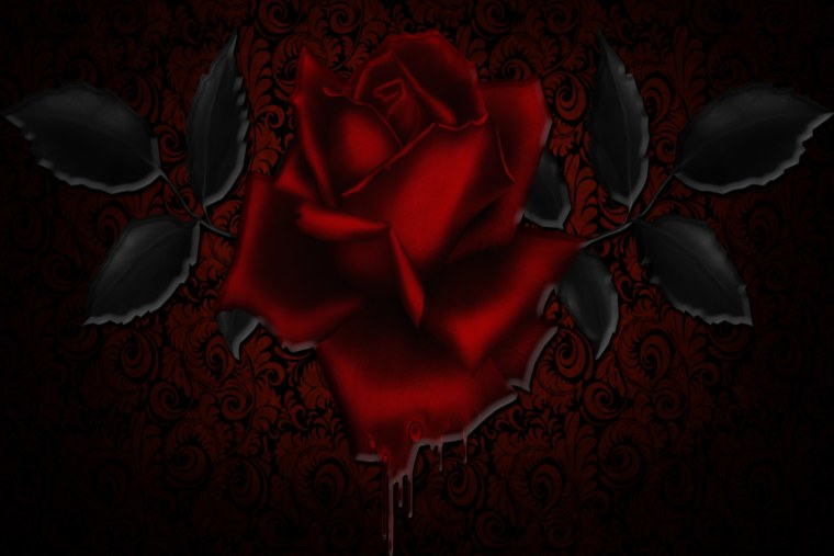 Красивые розы на черном фоне