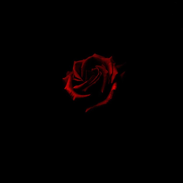 Красная рожа на черном фоне