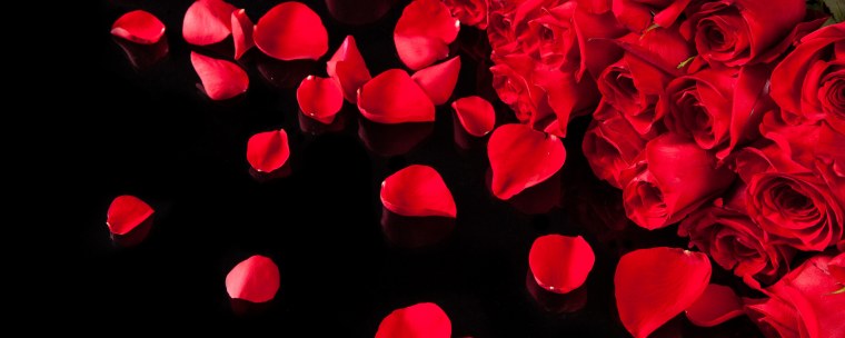 Красные розы на темном фоне