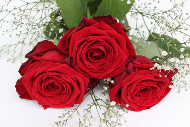Розы красного цвета