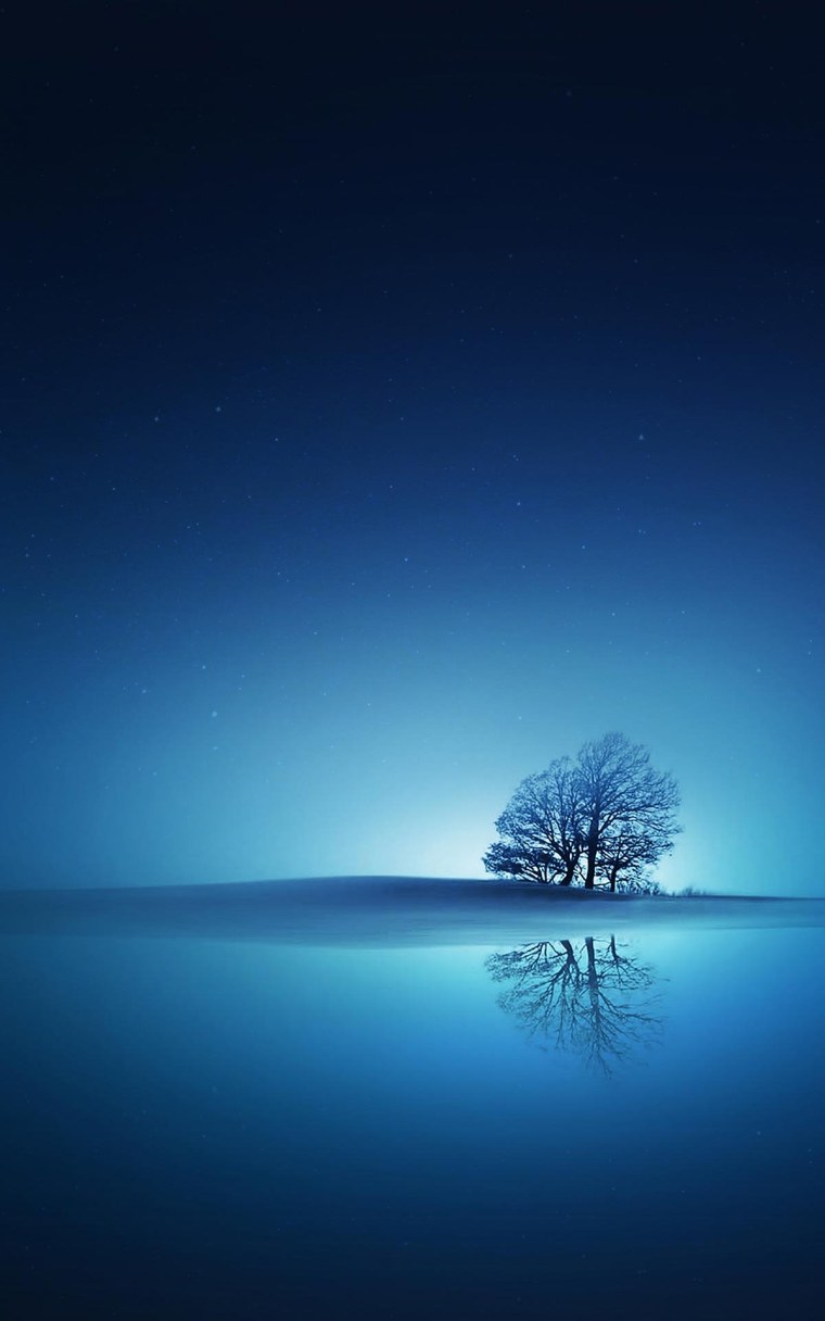 Обои на телефон высокого качества