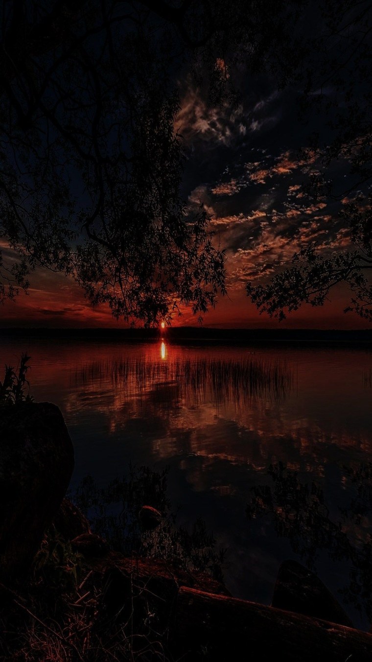 Абстрактный фон