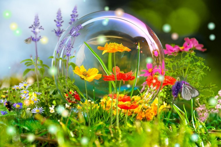 Прекрасный мир природы