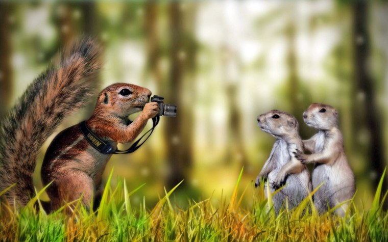 Суслик и белка