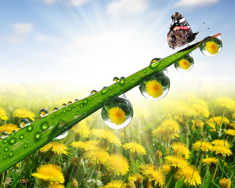 Солнечное лето