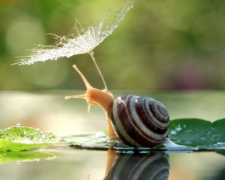 Вячеслав Мищенко