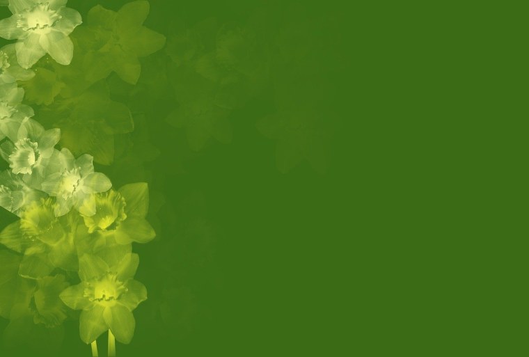 Весенний фон для презентации