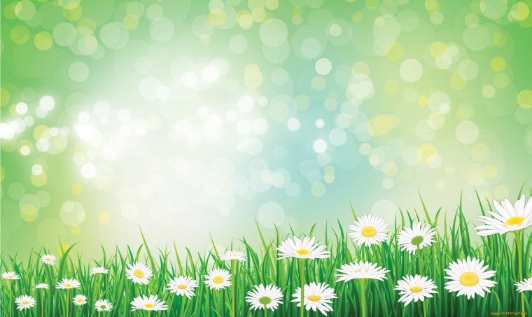 Лилии на зеленом фоне