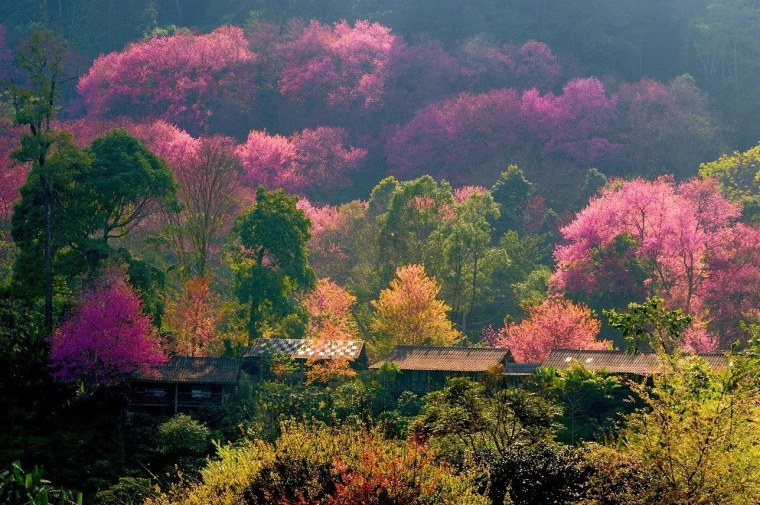 Осака храм белой Цапли