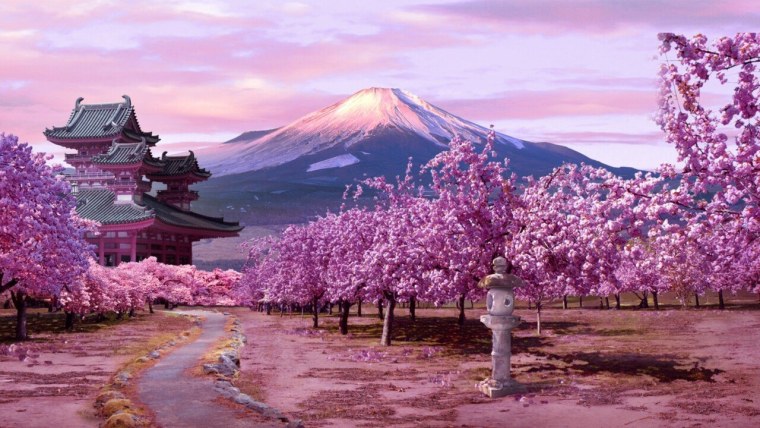 Картина черри блоссом гора