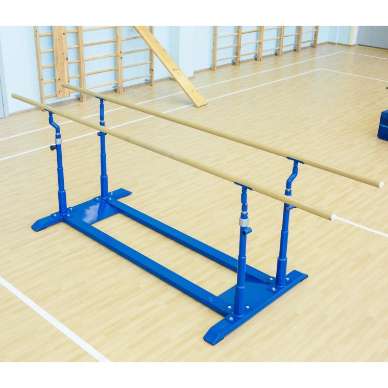 Скамья под штангу DFC d307d