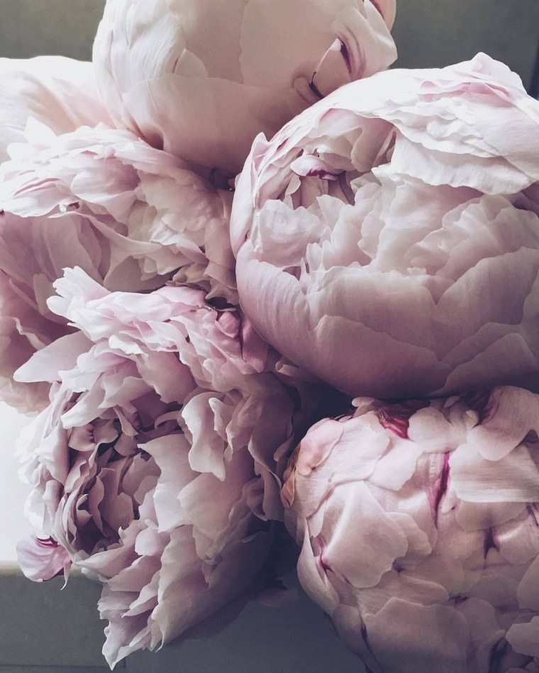 Нюдовые заставки на айфон