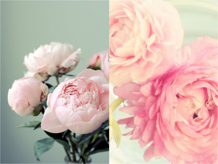 Розовые обои на айпад