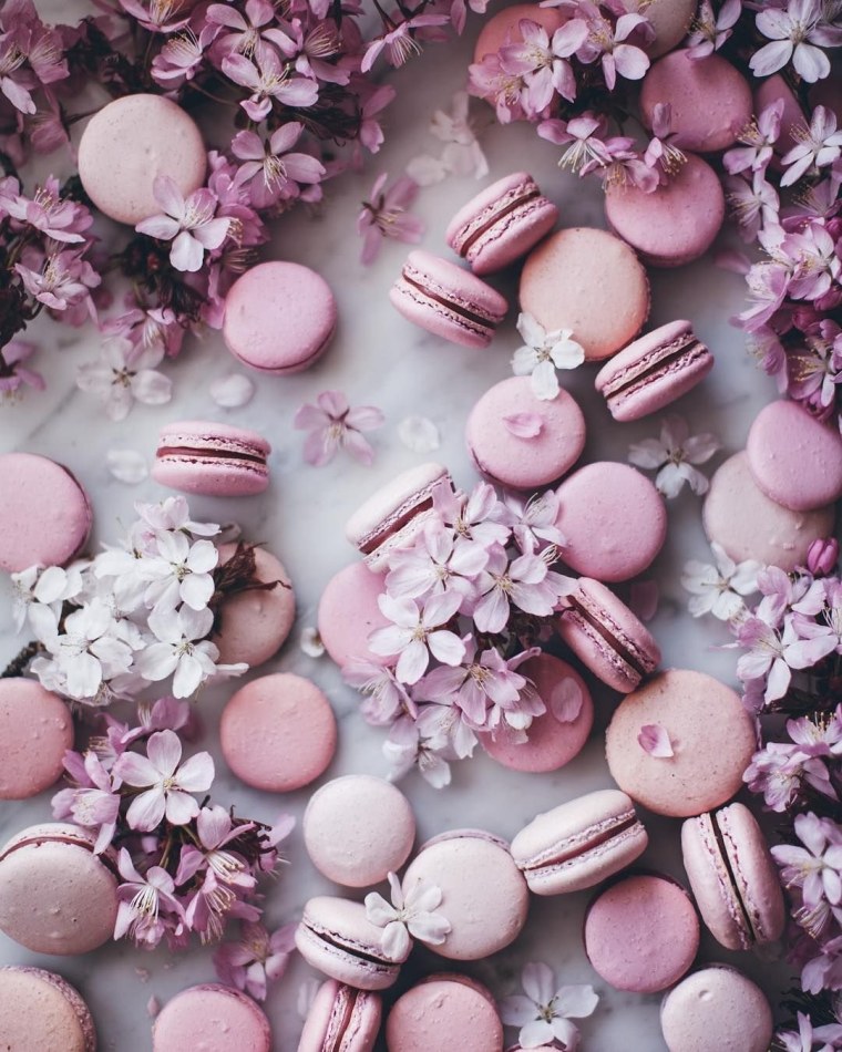 Обои на рабочий стол Минимализм цветы