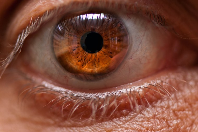 Глаз человека макро