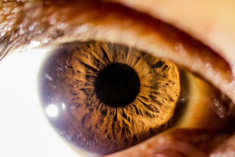Красивый человеческий глаз