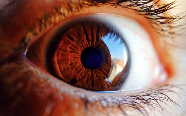 Зрачок макро