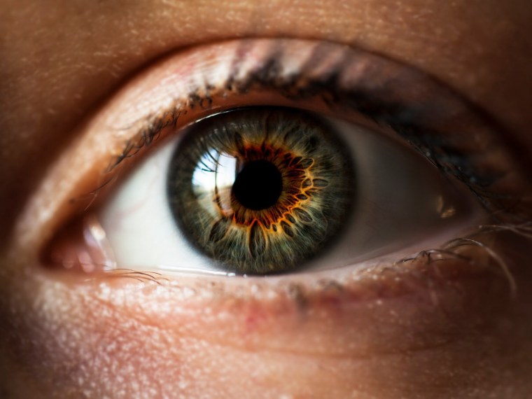 Большая радужка глаза