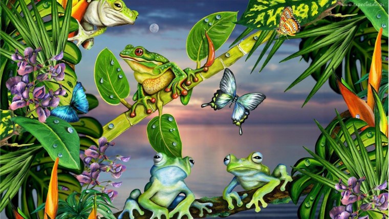 Современная лягушка обои
