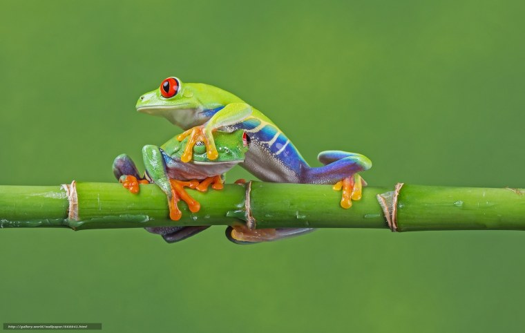 Сказочный фон