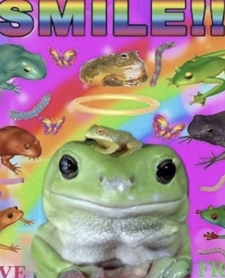 Лягушка Кокоа