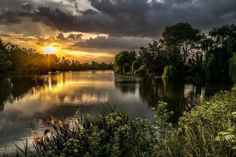 Речной пейзаж