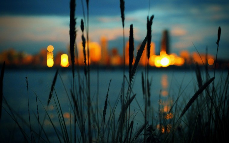 Закат над лесом