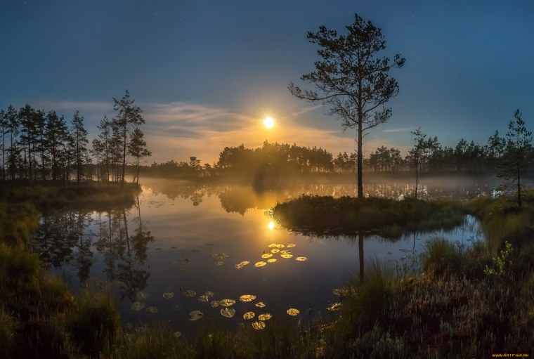 Летний закат