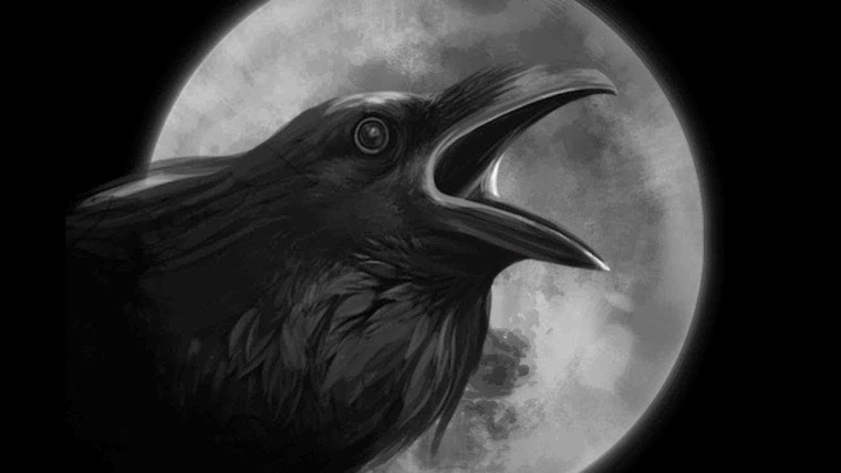 Обои на рабочий стол вороны